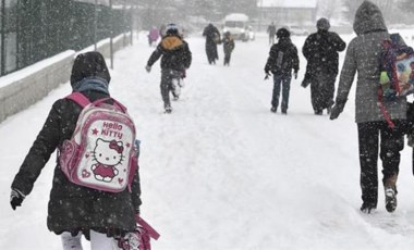 Erzincan'da okullara kar tatili