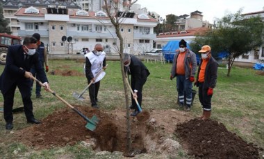 Marmaris'te sağlık emekçilerinin anısına fidan dikildi