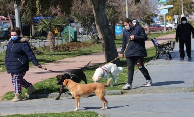 Pandemide evcil hayvan sahiplenme oranı arttı