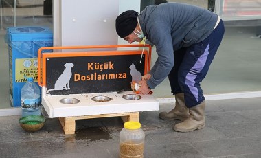 Sokak hayvanları için 'iyilik mesaisi'