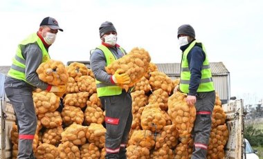 Tarım yazarı Ali Ekber Yıldırım: Patates dağıtımındaki rakamlar gerçek değil