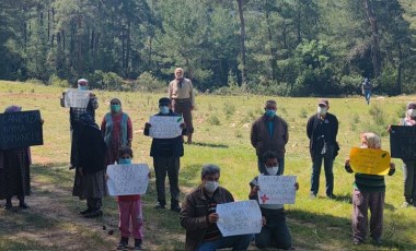 Muğla’da köylüler ağaç katliamına karşı direniyor