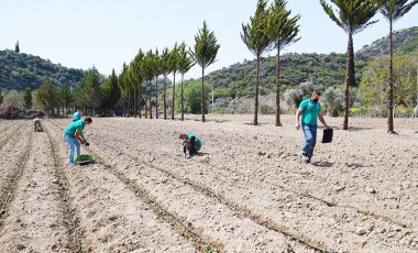 Kuşadası'nda ata tohumları toprakla buluştu