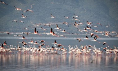 Çiğli'de 'iklim eylem planı' çalışmaları başladı