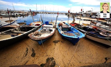 Marmara’da deniz salyasından mağdur olan balıkçılar destek bekliyor