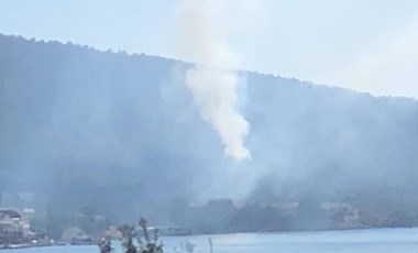 Muğla'nın Bodrum ilçesinde orman yangını çıktı