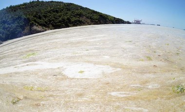 Marmara Denizi'ndeki salya, su altını da sardı