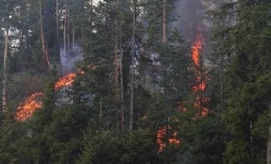 Artvin'de orman yangını: Çam ve köknar ağaçlarının bulunduğu 5 hektarlık alan yandı