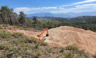 Denizli'de kekik tarlaları otoban için feda ediliyor