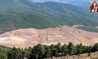 Türkiye’de Altın Madenciliği: 'Ya madencilik ya çevre' paradoksu