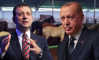 CHP'den, Erdoğan’a 'kayıp atlar' yanıtı: Yalana başvuracak kadar acziyete düşmüştür