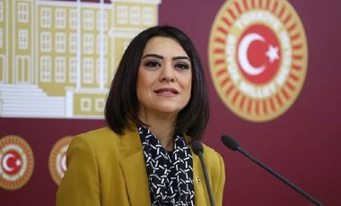 CHP'li Taşçıer'den bekçinin ‘Ben devletim’ sözlerine tepki