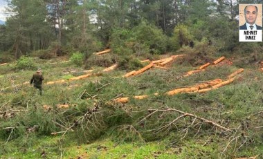 Muğla’da yeşil alanların inşaata açılmasına karşı hukuk savaşı başlatıldı