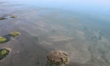 Marmara Denizi'nin ardından Karadeniz'de de deniz salyası görüldü