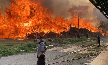 Afyonkarahisar'da biyoenerji tesisinde yangın