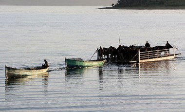 Mada Adası'na koronavirüs uğramadı