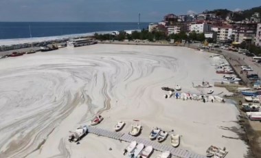 Marmara Denizi'nde 'deniz salyası': Asıl korkumuz buzdağının görünmeyen, denizin altındaki kısmı