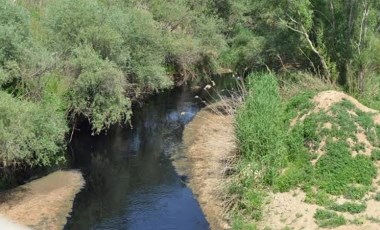 Tarım alanları tehdit altında: Gediz Nehri katlediliyor!