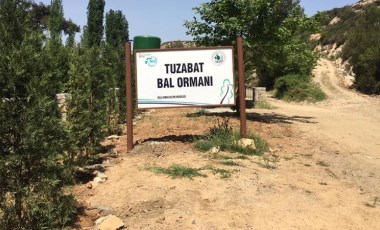 Milas'ta bal ormanına maden ocağı tehdidi