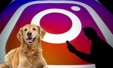 Instagram'da paylaşılan 'Save a dog' bağışı nedir, nasıl yapılır?