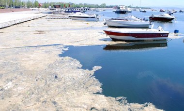 CHP'den müsilaj sorunu hakkında forum