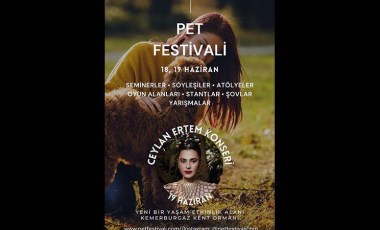 Bu festivalde kediye de köpeğe de yer var!