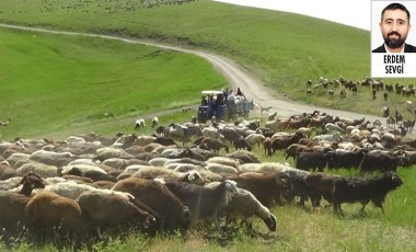 CHP Ekonomi Masasından inceleme: ‘Devlet tefeci olmuş’