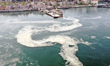 Müsilaja karşı uzmanlardan 'midye' çağrısı