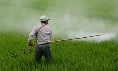 Alman ilaç şirketi Bayer'e yeni dava: 