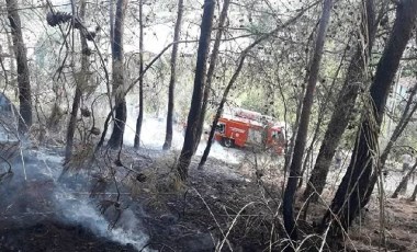 Fethiye'deki orman yangını söndürüldü: 2 dönüm alan zarar gördü