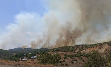 Bingöl'de orman yangını günlerdir devam ediyor: 1000 dönümlük alan zarar gördü