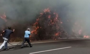 Ula'da orman yangını: Evler tahliye edildi