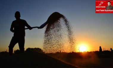 Türkiye genelinde olduğu gibi Ege Bölgesi'ndeki çiftçiler de perişan