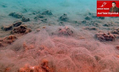 İzmir Körfezi'nde deniz salyası kâbusu