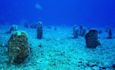 Türk Deniz Araştırmaları Vakfı'ndan 8 Haziran Okyanuslar Günü için çevrimiçi panel