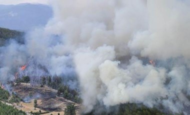 Tarladaki yangın ormana sıçradı: Ekiplerin zor anı