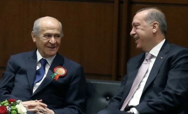 Devlet Bahçeli, Recep Tayyip Erdoğan'a çınar fidanı hediye etti