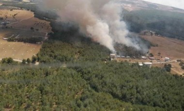 İzmir'in Bornova ilçesinde orman yangını çıktı