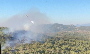 Foça'da orman ve makilik yangını: 1 saatte söndürüldü