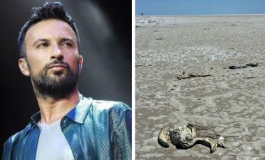 Tarkan'dan Tuz Gölü'ndeki flamingo ölümlerine tepki: Kader değil katliam