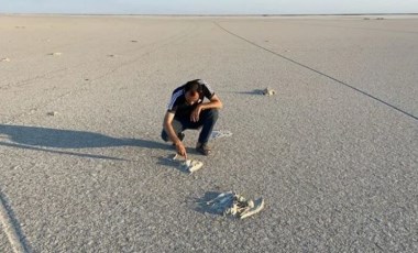 Uzman isim anlattı: Tuz Gölü’ndeki flamingoların başına gelenler