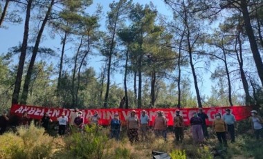 Akbelen Ormanı'nda termik santral için ağaç kıyımı başladı