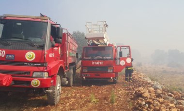 Kaş'ta tarım arazisinde yangın çıktı: 200 zeytin ağacı kül oldu