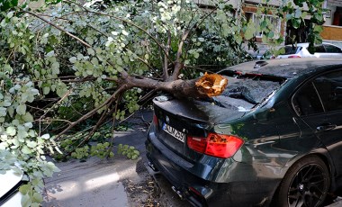 Ünlü oyuncunun lüks aracının üzerine ağaç devrildi