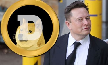 Musk'a güvenip DOGE'ye yatırım yapanlar yüzde 80 zararda