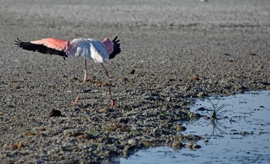 Meteoroloji uzmanından Türkiye için endişelendiren uyarı