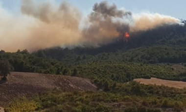 Son dakika: Bir orman yangını haberi de Osmaniye'den geldi