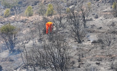 Yangınlarla ilgili soruşturma başlatıldı