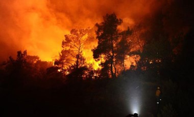 Milas ilçesindeki orman yangınına ilişkin soruşturma başlatıldı