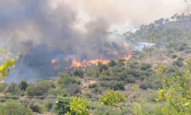 Mersin'de orman yangınları: İki çoban kayıp, bir kişi gözaltında